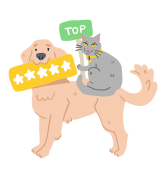 Top