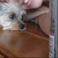 https://de.holidog.com/ImagesPetSitters/07CF294F-6C00-4487-8CAF-96B17B58BD44_square_120.jpg Friend-dog-zone--30035-2