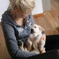 https://de.holidog.com/ImagesPetSitters/0FD20A2F-0DF3-4DDE-ABEA-EA17C5FCF662_square_120.jpg Hundeservice-Deluxe-:)--20245-0