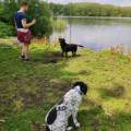 https://de.holidog.com/ImagesPetSitters/16974FFD-5514-4778-888D-61B2324C1402_square_120.jpg liebevolle-Betreuung-direkt-am-Park-24031-0