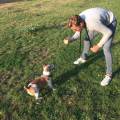 https://de.holidog.com/ImagesPetSitters/1C2AFFC2-17C5-45B7-8D7C-27C4C312C9DD_square_120.jpg Dogs-best-Buddy-72264-2