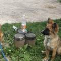 https://de.holidog.com/ImagesPetSitters/22A35308-601F-4353-AD60-8439DC18D16C_square_120.jpg Urlaubsbetreuung-mit-Hundeverstand-261858-1