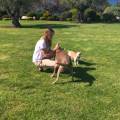 https://de.holidog.com/ImagesPetSitters/247D8A72-89A1-4B5F-9E61-58E90AEF54FC_square_120.jpg Dogs-best-Buddy-72264-1
