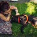 https://de.holidog.com/ImagesPetSitters/361EFF62-E26D-4346-B6E6-59D3DE29C8EF_square_120.jpg Hundebetreuung-mit-Herz--255682-1