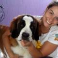 Brasilianisches-Hundetraining-73781-1
