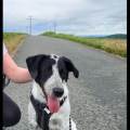 https://de.holidog.com/ImagesPetSitters/659988A9-ACB5-413B-872B-CBFDD44884DE_square_120.jpg Tierliebe-Studentin--273805-0