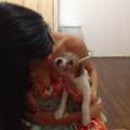 https://de.holidog.com/ImagesPetSitters/6E2DBE76-B213-4526-BEAE-AF6B725A1E99_square_120.jpg Love4Dogs-31186-1