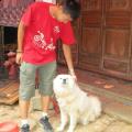 https://de.holidog.com/ImagesPetSitters/6FEA6424-4F86-4CA4-A8B6-8F036D58E2D2_square_120.jpg Hunde-Lieber-13105-1