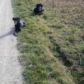 https://de.holidog.com/ImagesPetSitters/7A032DAD-D11C-4B99-B2F7-FFFF708205A6_square_120.jpg Hundeurlaub-64881-2