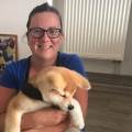https://de.holidog.com/ImagesPetSitters/80C734FA-0787-4AB9-81BD-E39321246C84_square_120.jpg Wanderkumpel-im-HomeOffice-254973-1
