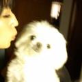 https://de.holidog.com/ImagesPetSitters/92DF944F-5BC6-4353-99FA-10E0207DAE54_square_120.jpg 8427-3