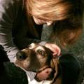 https://de.holidog.com/ImagesPetSitters/976A608B-D3C5-4489-8902-2A602CD7AA5E_square_120.jpg hunde-54587-1