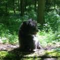 https://de.holidog.com/ImagesPetSitters/B09AC212-7172-483A-AF0E-35DADBF1967A_square_120.jpg Hundeurlaub-64881-1