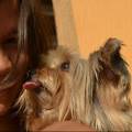 https://de.holidog.com/ImagesPetSitters/B7F727FA-DCED-4416-9500-9F7B7A3C0FF9_square_120.jpg Hunde-machen-das-leben-glücklicher-58999-1