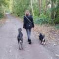 https://de.holidog.com/ImagesPetSitters/E1E4AF0F-DBC3-4F97-B23C-C08A3FFE9008_square_120.jpg liebevolle-Betreuung-direkt-am-Park-24031-2
