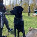 https://de.holidog.com/ImagesPetSitters/F5A24A76-8F98-46D0-B0F1-95B7B2C745B4_square_120.jpg AnimalLove-41217-3
